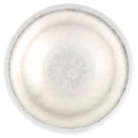 Neutro Roberts Tè Verde e Lime 150 ml